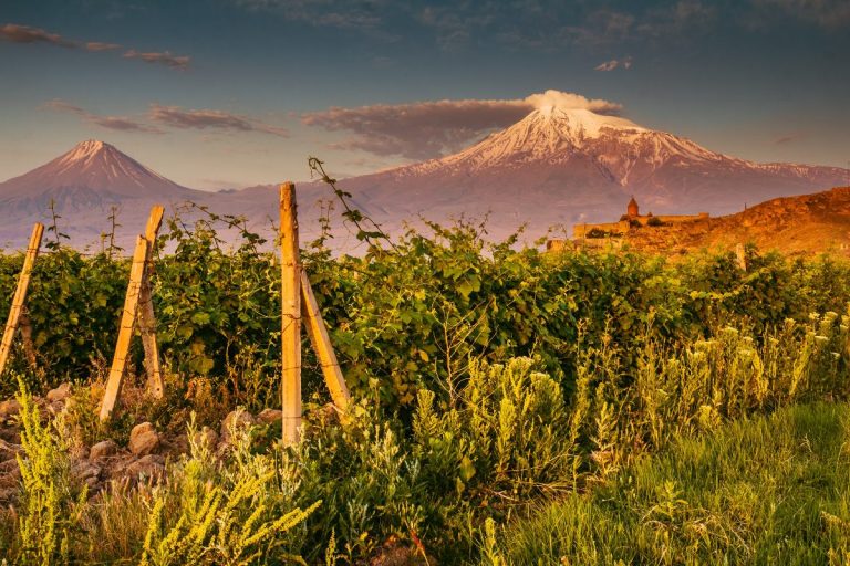 Ruta del vino Armenia