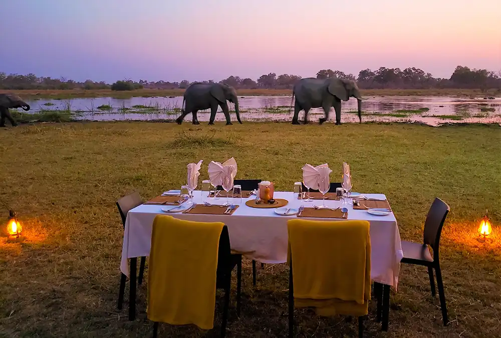 viajes-lujo-mandala-cena-safari